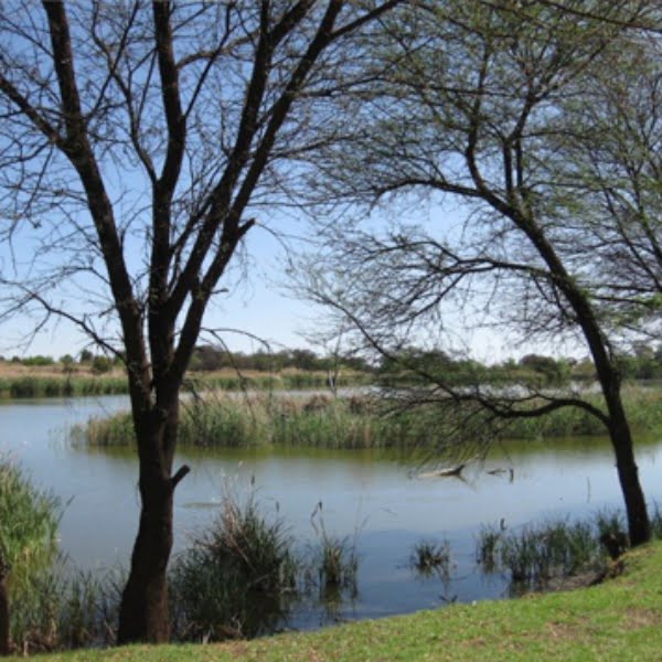Cooke's Lake and Ponds
